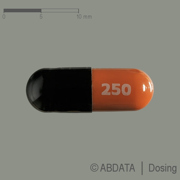 Produktabbildungen für STAPHYLEX 250 mg Kapseln in der Vorder-, Hinter- und Seitenansicht.