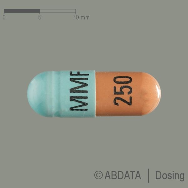 Verpackungsbild (Packshot) von MYCOPHENOLAT MOFETIL Accord 250 mg Kapseln